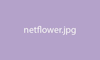Netflower